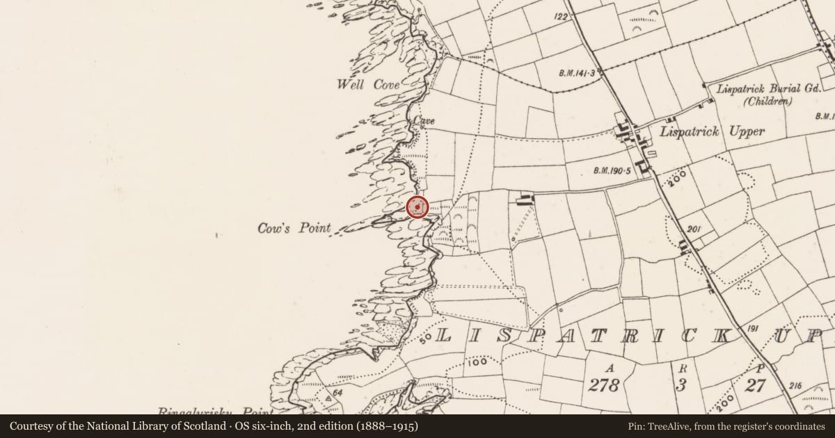 Ordnance Survey six-inch map, 2nd edition (1888–1915) covering the location of Promontory fort - coastal, Lispatrick Upper, County Cork, with a pin at the register's coordinates