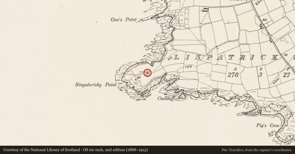 Ordnance Survey six-inch map, 2nd edition (1888–1915) covering the location of Promontory fort - coastal, Lispatrick Upper, County Cork, with a pin at the register's coordinates