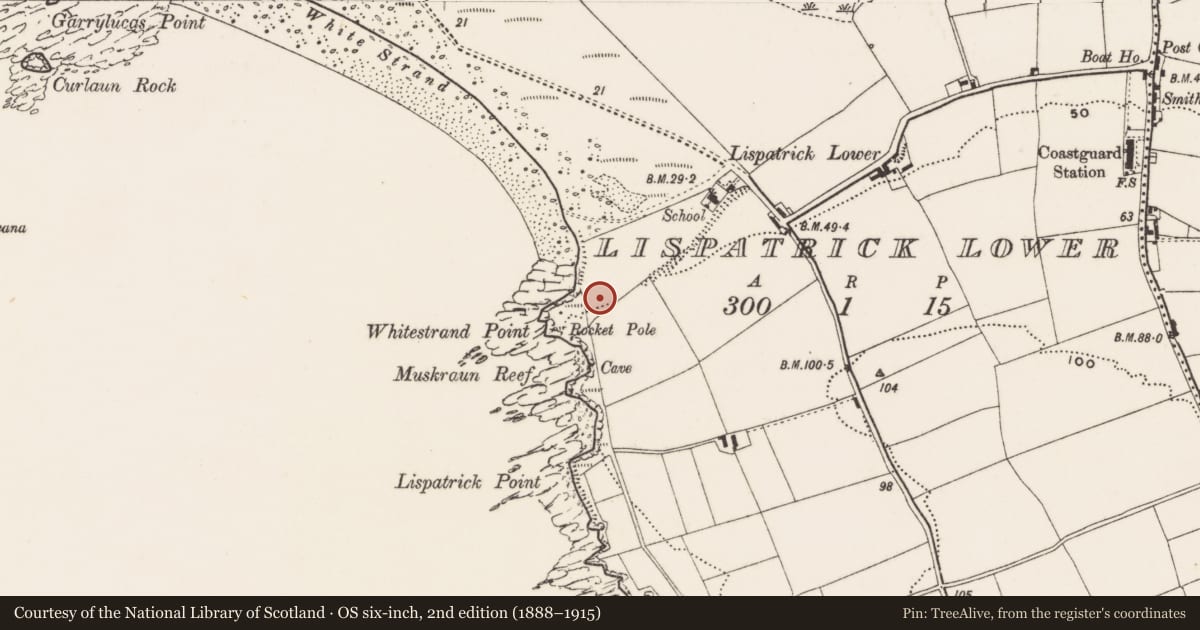 Ordnance Survey six-inch map, 2nd edition (1888–1915) covering the location of Burial, Lispatrick Lower, County Cork, with a pin at the register's coordinates