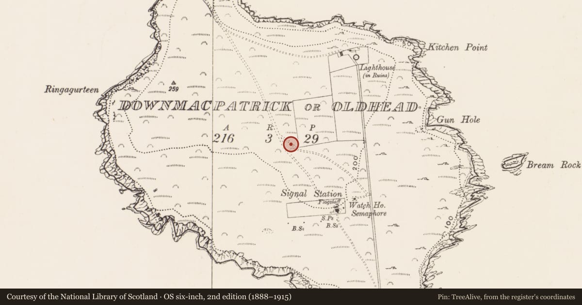 Ordnance Survey six-inch map, 2nd edition (1888–1915) covering the location of Promontory fort - coastal, Downmacpatrick Or Old Head, County Cork, with a pin at the register's coordinates
