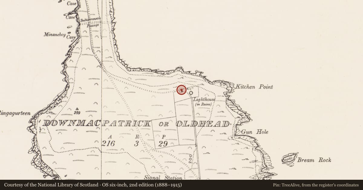 Ordnance Survey six-inch map, 2nd edition (1888–1915) covering the location of Lighthouse, Downmacpatrick Or Old Head, County Cork, with a pin at the register's coordinates