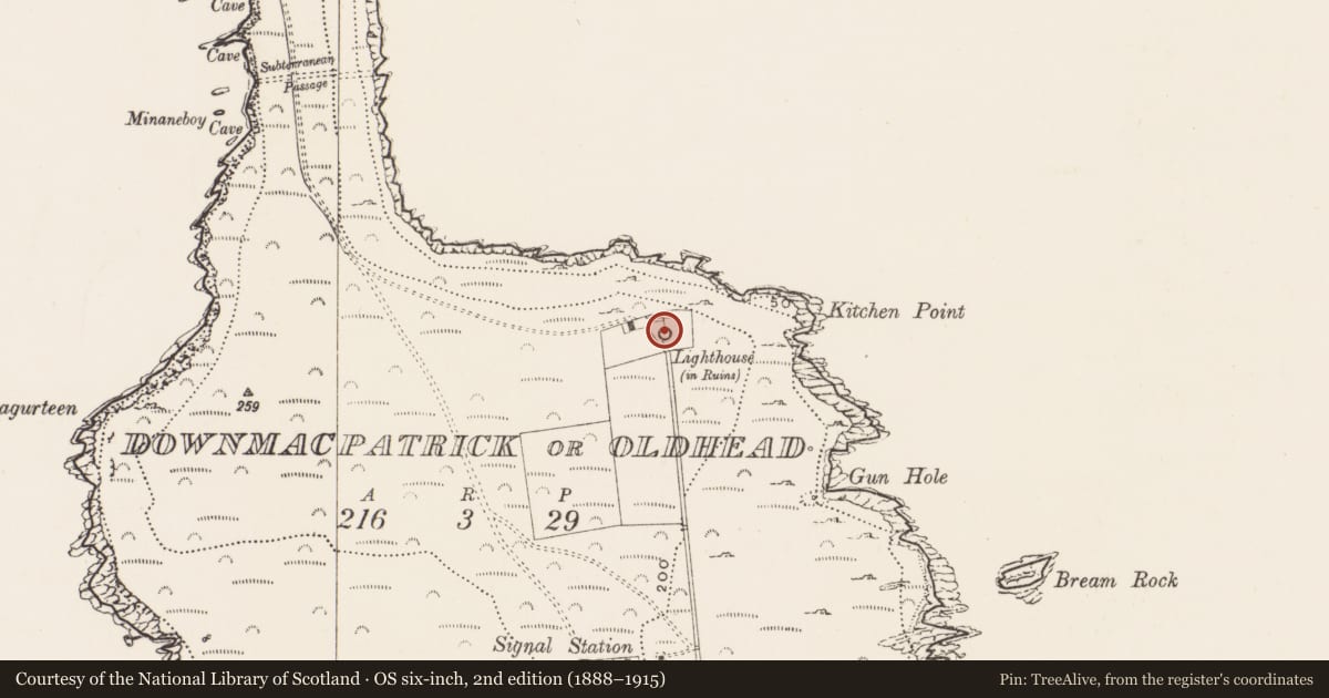 Ordnance Survey six-inch map, 2nd edition (1888–1915) covering the location of Lighthouse, Downmacpatrick Or Old Head, County Cork, with a pin at the register's coordinates
