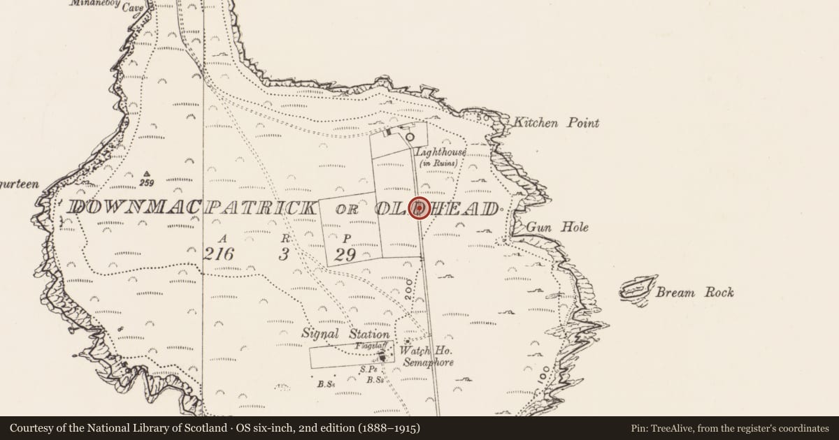 Ordnance Survey six-inch map, 2nd edition (1888–1915) covering the location of Megalithic structure, Downmacpatrick Or Old Head, County Cork, with a pin at the register's coordinates