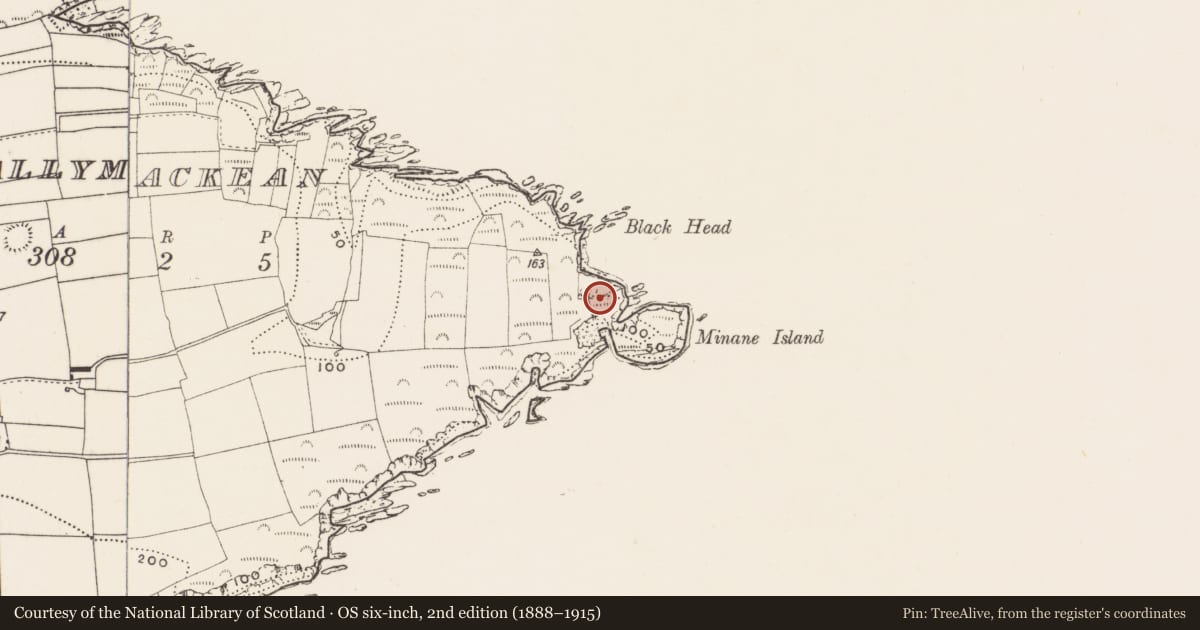 Ordnance Survey six-inch map, 2nd edition (1888–1915) covering the location of Promontory fort - coastal, Ballymackean, County Cork, with a pin at the register's coordinates