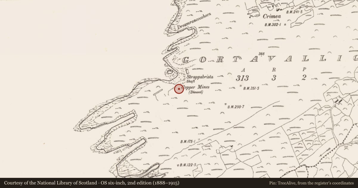 Ordnance Survey six-inch map, 2nd edition (1888–1915) covering the location of Mining complex, Gortavallig, County Cork, with a pin at the register's coordinates