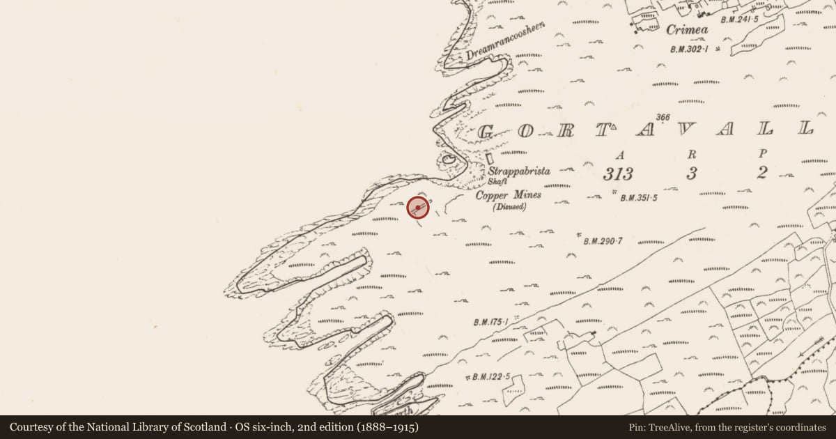 Ordnance Survey six-inch map, 2nd edition (1888–1915) covering the location of Miner's settlement, Gortavallig, County Cork, with a pin at the register's coordinates