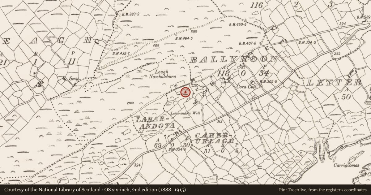 Ordnance Survey six-inch map, 2nd edition (1888–1915) covering the location of Ringfort - rath, Caherurlagh, County Cork, with a pin at the register's coordinates
