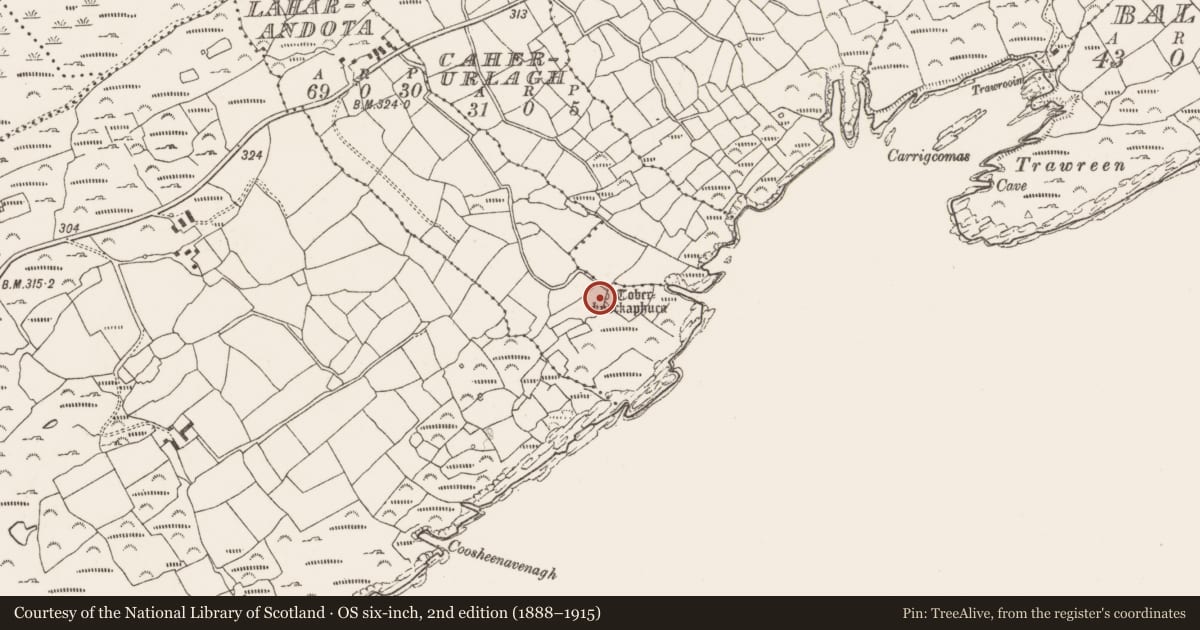 Ordnance Survey six-inch map, 2nd edition (1888–1915) covering the location of Ritual site - holy well, Laharandota, County Cork, with a pin at the register's coordinates