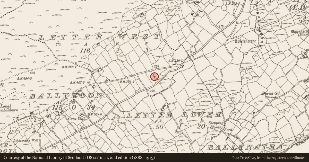 Ordnance Survey six-inch map, 2nd edition (1888–1915) covering the location of Burial ground, Letter West, County Cork, with a pin at the register's coordinates