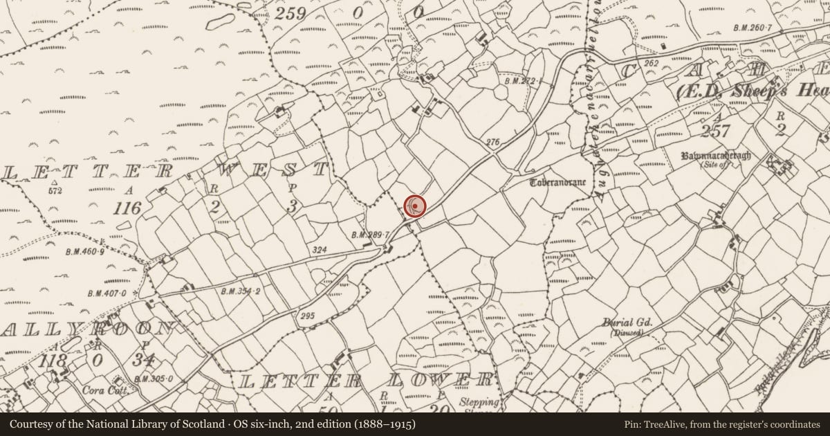 Ordnance Survey six-inch map, 2nd edition (1888–1915) covering the location of Ringfort - rath, Letter East, County Cork, with a pin at the register's coordinates