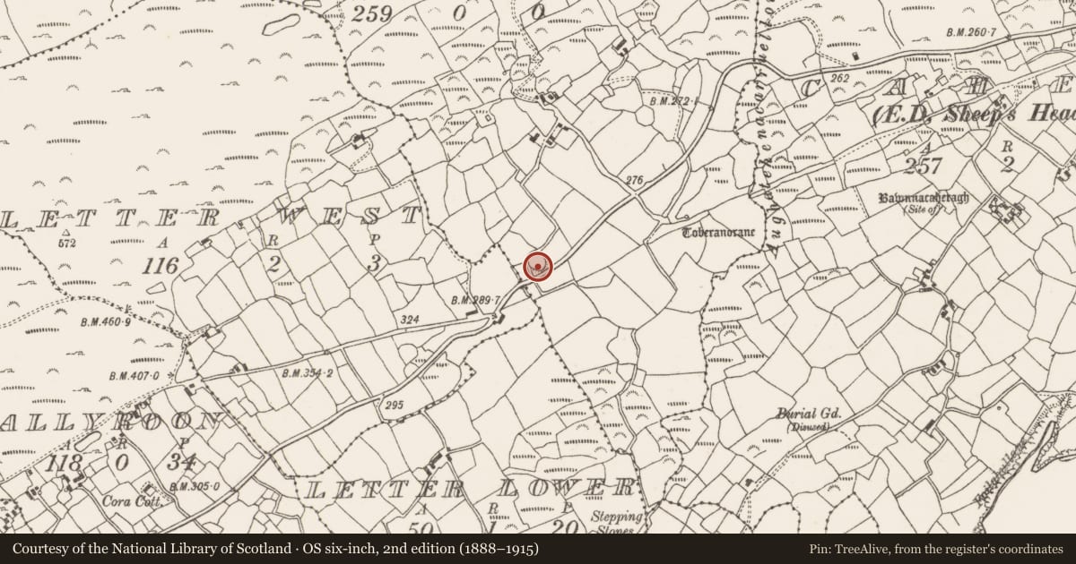 Ordnance Survey six-inch map, 2nd edition (1888–1915) covering the location of Souterrain, Letter East, County Cork, with a pin at the register's coordinates