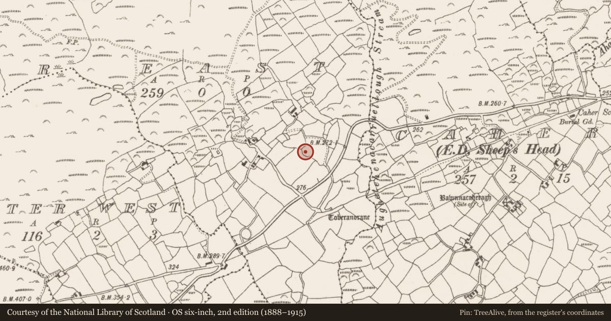 Ordnance Survey six-inch map, 2nd edition (1888–1915) covering the location of Ringfort - rath, Letter East, County Cork, with a pin at the register's coordinates