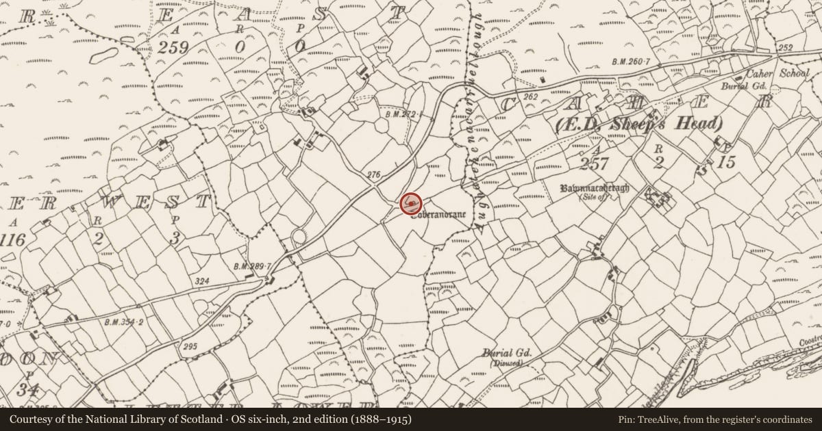 Ordnance Survey six-inch map, 2nd edition (1888–1915) covering the location of Ritual site - holy well, Letter East, County Cork, with a pin at the register's coordinates