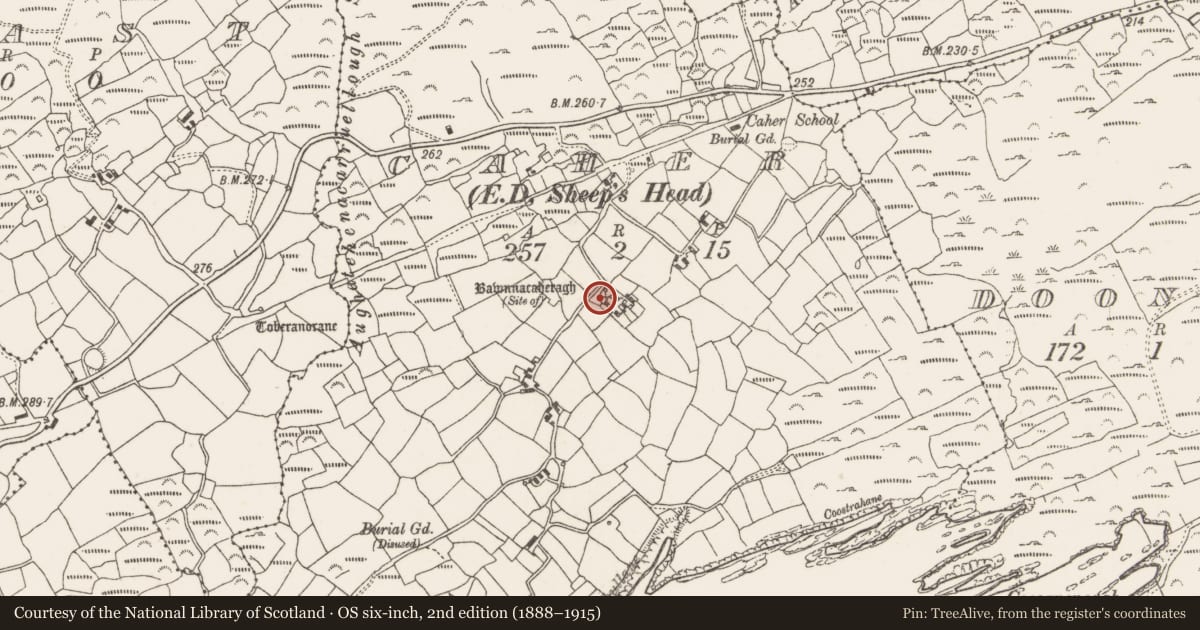 Ordnance Survey six-inch map, 2nd edition (1888–1915) covering the location of Ringfort - rath, Caher (Carbery W. (W.D.) By., Kilcrohane Par.), County Cork, with a pin at the register's coordinates