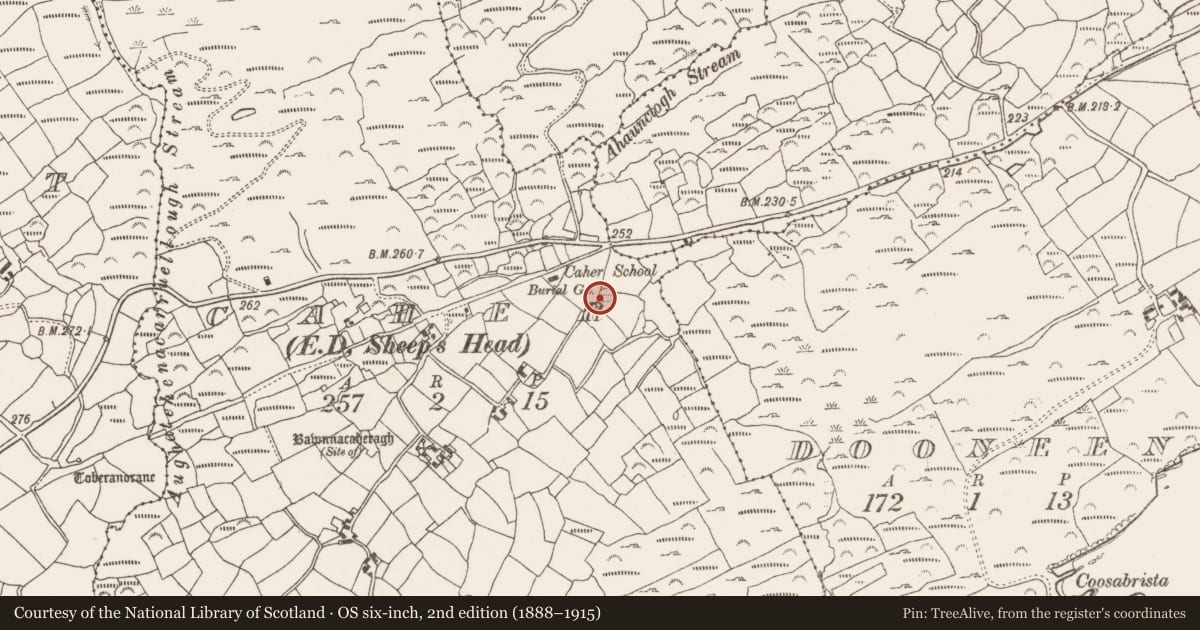 Ordnance Survey six-inch map, 2nd edition (1888–1915) covering the location of Burial ground, Caher (Carbery W. (W.D.) By., Kilcrohane Par.), County Cork, with a pin at the register's coordinates
