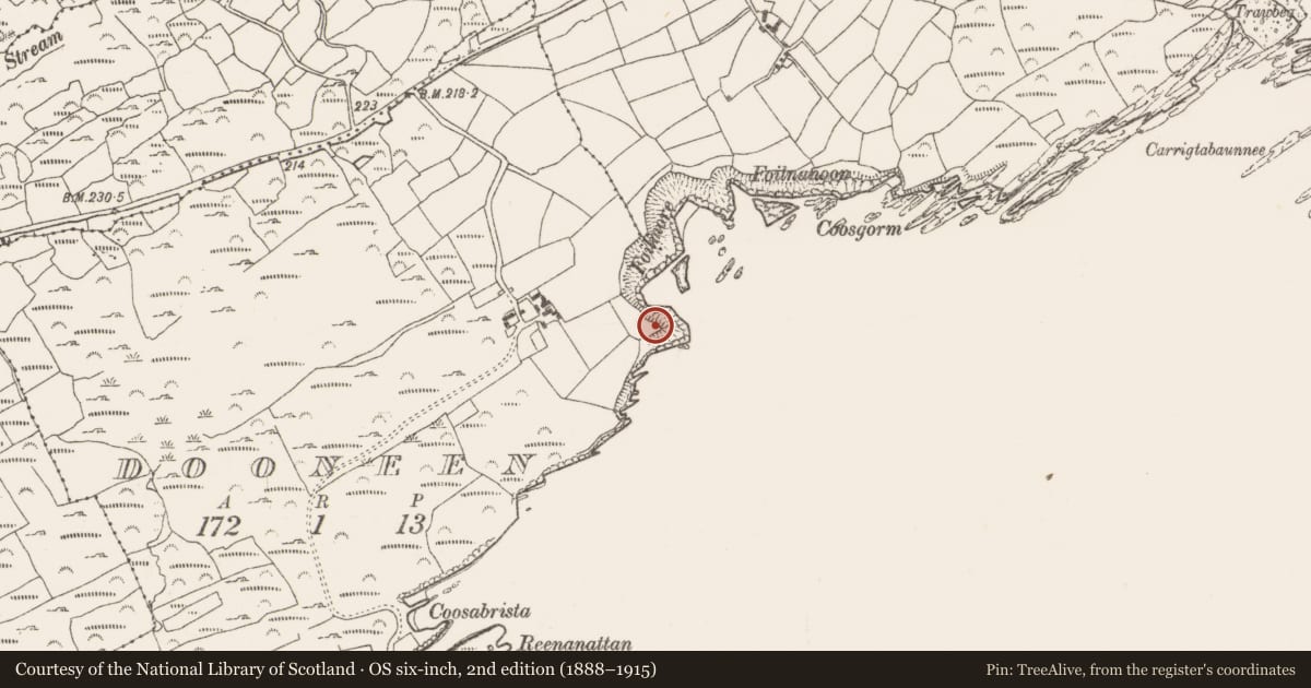 Ordnance Survey six-inch map, 2nd edition (1888–1915) covering the location of Promontory fort - coastal, Dooneen, County Cork, with a pin at the register's coordinates
