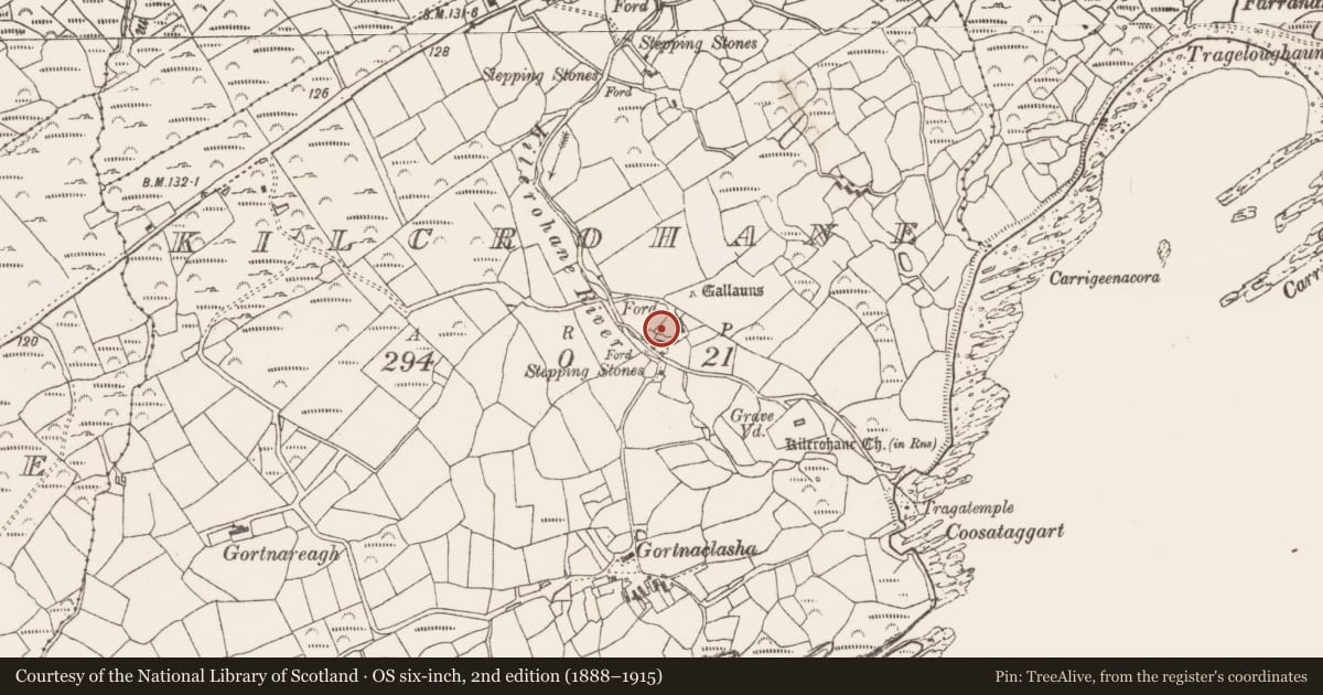 Ordnance Survey six-inch map, 2nd edition (1888–1915) covering the location of Mound, Kilcrohane, County Cork, with a pin at the register's coordinates
