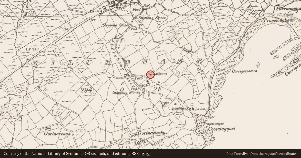 Ordnance Survey six-inch map, 2nd edition (1888–1915) covering the location of Standing stone - pair, Kilcrohane, County Cork, with a pin at the register's coordinates