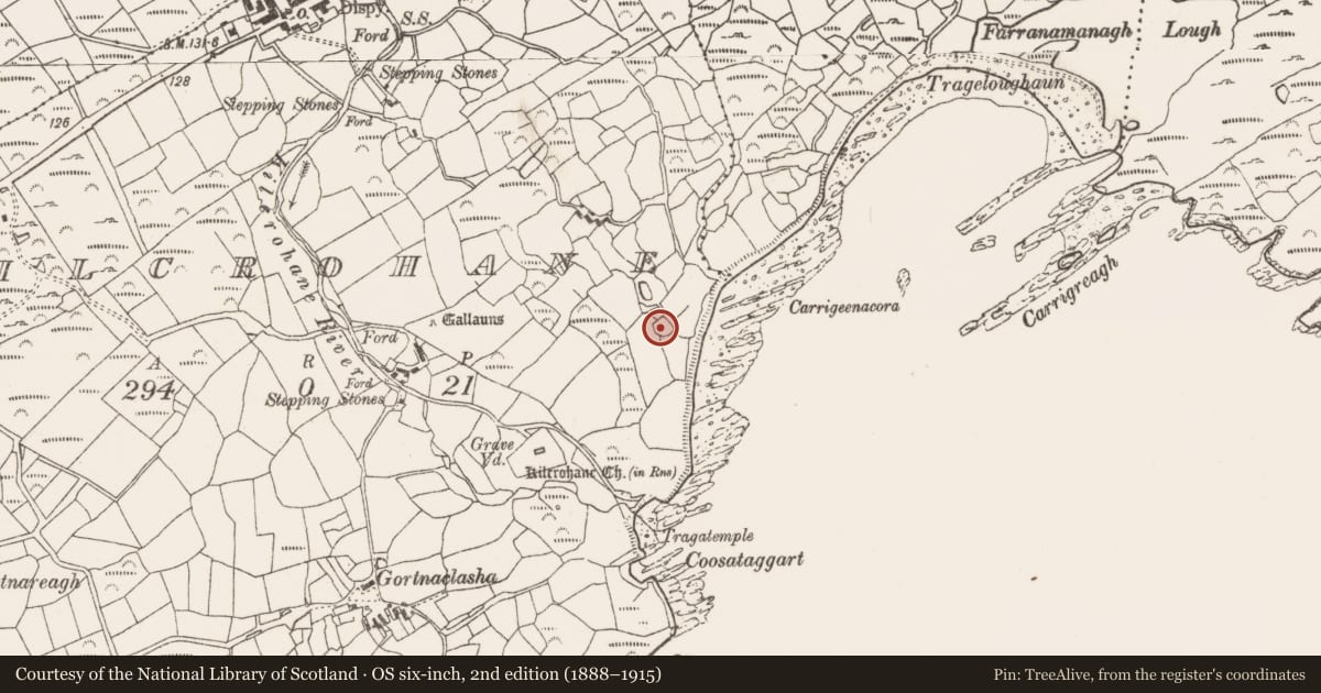 Ordnance Survey six-inch map, 2nd edition (1888–1915) covering the location of Ringfort - cashel, Kilcrohane, County Cork, with a pin at the register's coordinates