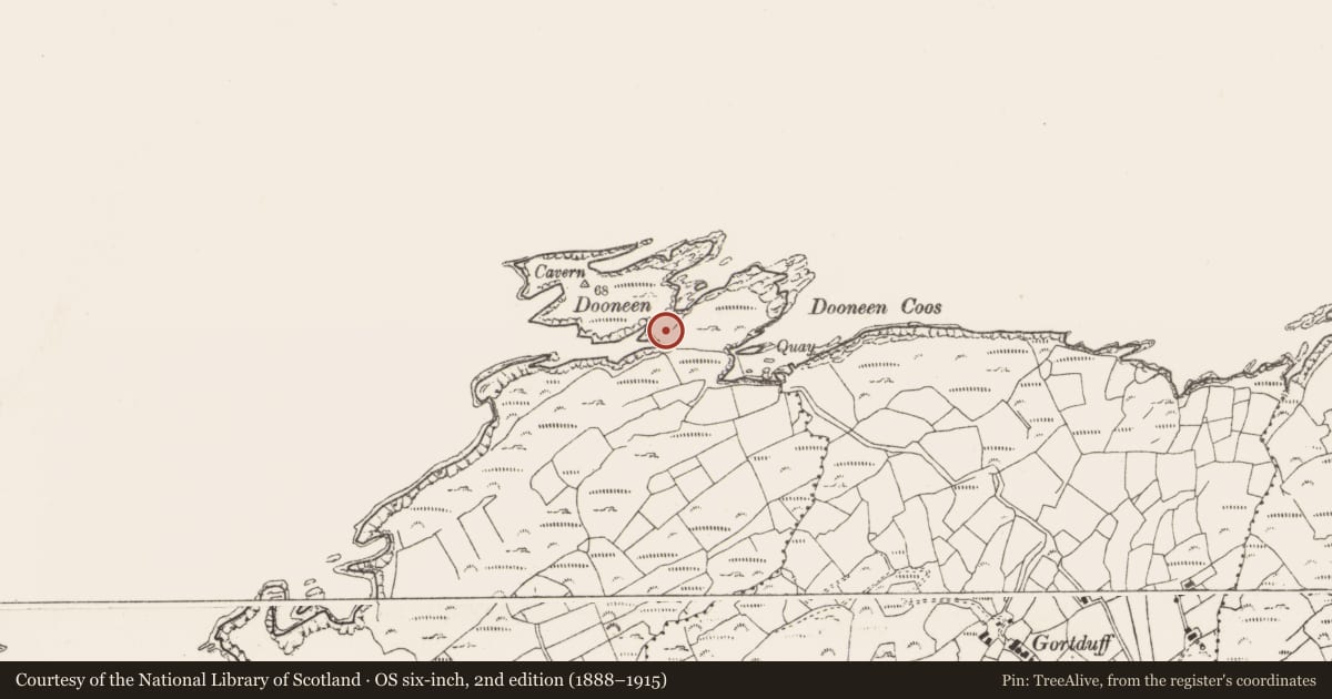 Ordnance Survey six-inch map, 2nd edition (1888–1915) covering the location of Promontory fort - coastal, Lackavaun, County Cork, with a pin at the register's coordinates