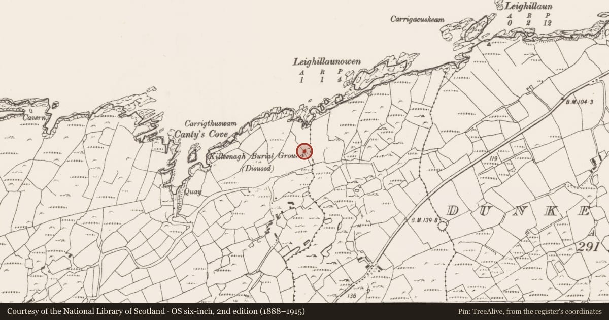 Ordnance Survey six-inch map, 2nd edition (1888–1915) covering the location of Burial ground, Dunkelly West, County Cork, with a pin at the register's coordinates