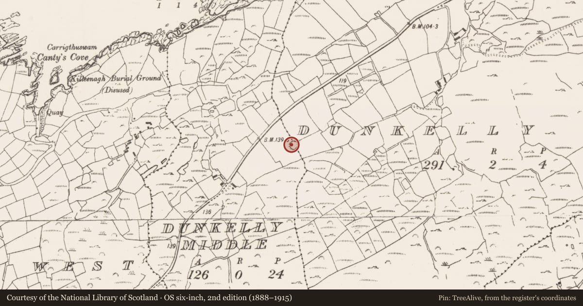 Ordnance Survey six-inch map, 2nd edition (1888–1915) covering the location of Ringfort - rath, Dunkelly Middle, County Cork, with a pin at the register's coordinates