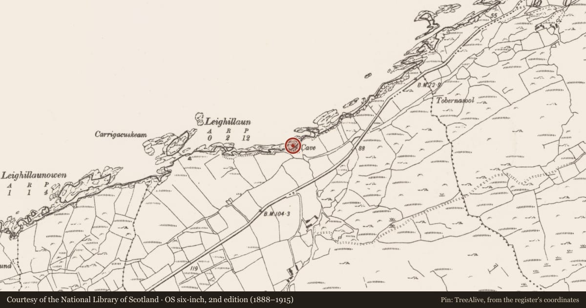 Ordnance Survey six-inch map, 2nd edition (1888–1915) covering the location of Cliff-edge fort, Dunkelly East, County Cork, with a pin at the register's coordinates