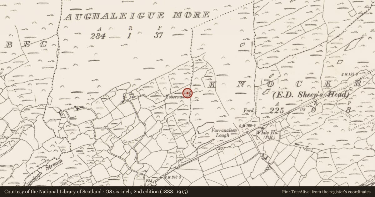 Ordnance Survey six-inch map, 2nd edition (1888–1915) covering the location of Ritual site - holy well, Aughaleigue More, County Cork, with a pin at the register's coordinates