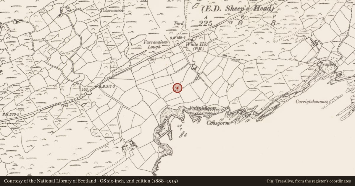 Ordnance Survey six-inch map, 2nd edition (1888–1915) covering the location of Souterrain, County Cork, with a pin at the register's coordinates