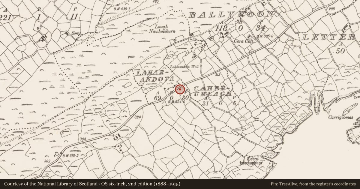 Ordnance Survey six-inch map, 2nd edition (1888–1915) covering the location of Ritual site - holy well, Laharandota, County Cork, with a pin at the register's coordinates