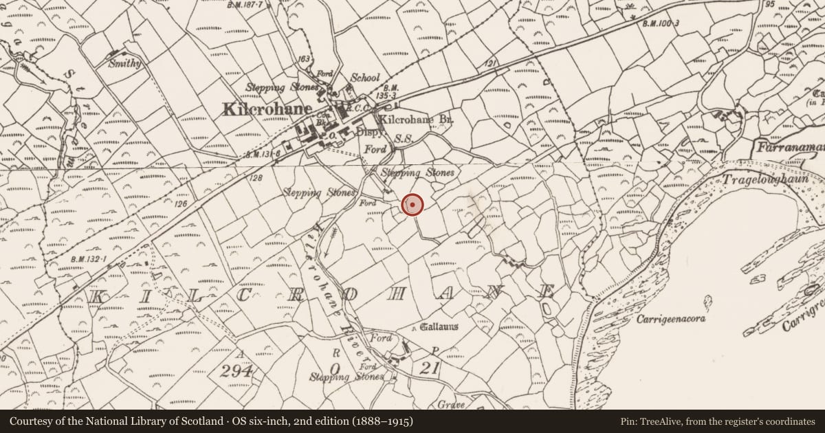 Ordnance Survey six-inch map, 2nd edition (1888–1915) covering the location of Souterrain, Kilcrohane, County Cork, with a pin at the register's coordinates