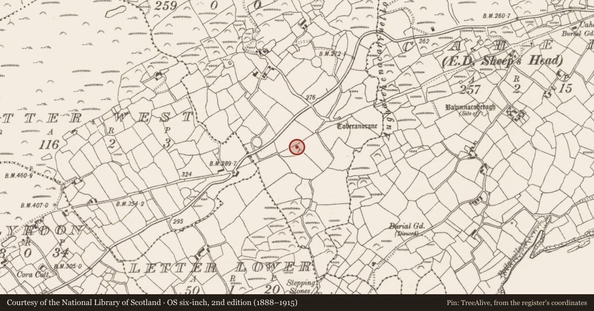 Ordnance Survey six-inch map, 2nd edition (1888–1915) covering the location of Souterrain, Letter East, County Cork, with a pin at the register's coordinates