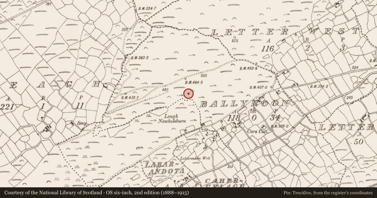 Ordnance Survey six-inch map, 2nd edition (1888–1915) covering the location of Enclosure, Ballyroon, County Cork, with a pin at the register's coordinates