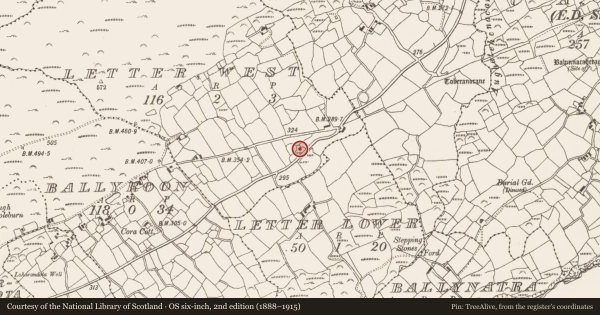 Ordnance Survey six-inch map, 2nd edition (1888–1915) covering the location of Burial ground, Letter West, County Cork, with a pin at the register's coordinates