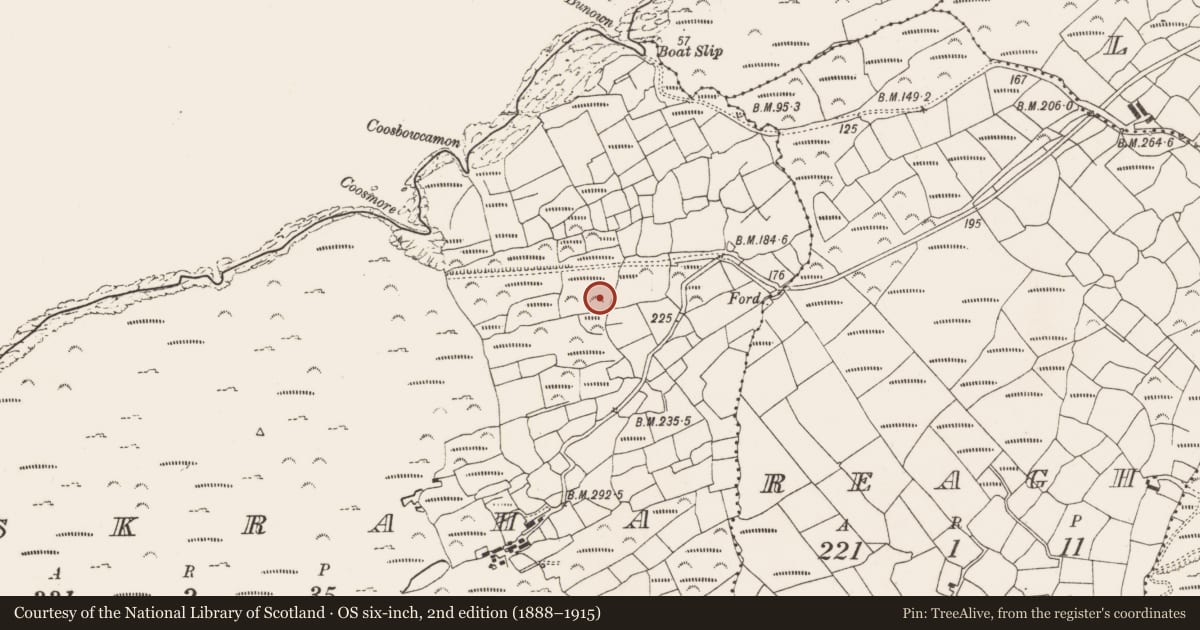 Ordnance Survey six-inch map, 2nd edition (1888–1915) covering the location of Standing stone, Eskraha, County Cork, with a pin at the register's coordinates