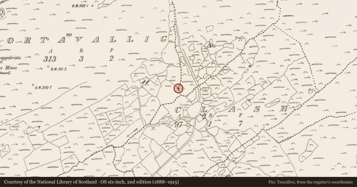 Ordnance Survey six-inch map, 2nd edition (1888–1915) covering the location of Burnt mound, Clash, County Cork, with a pin at the register's coordinates