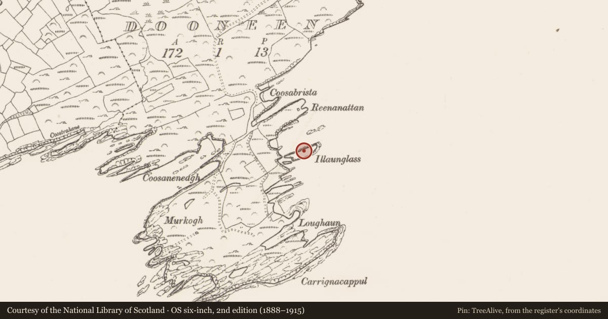 Ordnance Survey six-inch map, 2nd edition (1888–1915) covering the location of Hut site, Dooneen, County Cork, with a pin at the register's coordinates