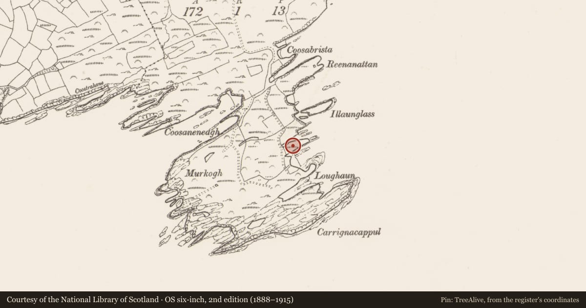 Ordnance Survey six-inch map, 2nd edition (1888–1915) covering the location of Promontory fort - coastal, Dooneen, County Cork, with a pin at the register's coordinates