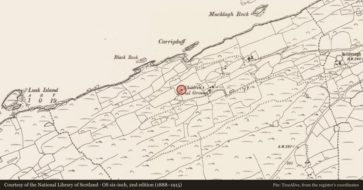 Ordnance Survey six-inch map, 2nd edition (1888–1915) covering the location of Cross-slab, Kilcomane, County Cork, with a pin at the register's coordinates