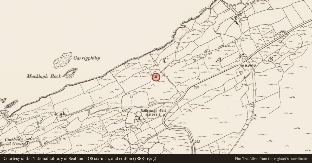 Ordnance Survey six-inch map, 2nd edition (1888–1915) covering the location of Enclosure, Cashelfean, County Cork, with a pin at the register's coordinates