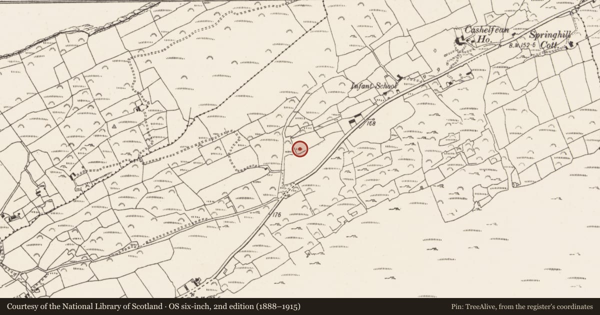 Ordnance Survey six-inch map, 2nd edition (1888–1915) covering the location of Burial ground, Cashelfean, County Cork, with a pin at the register's coordinates