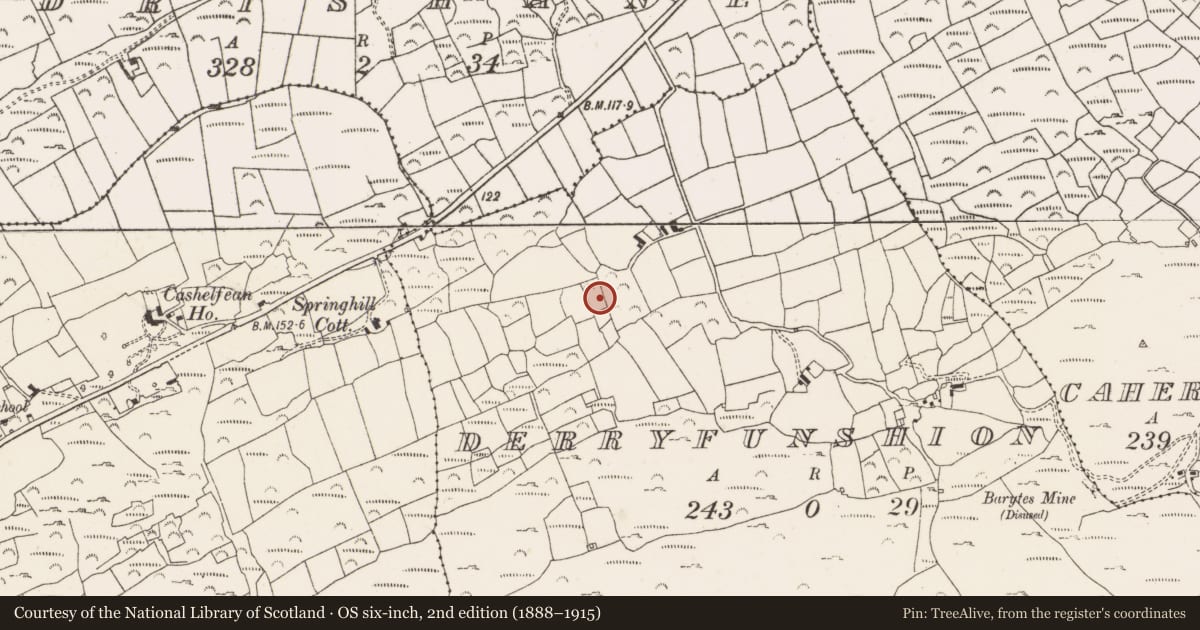 Ordnance Survey six-inch map, 2nd edition (1888–1915) covering the location of Fulacht fia, Derryfunshion, County Cork, with a pin at the register's coordinates