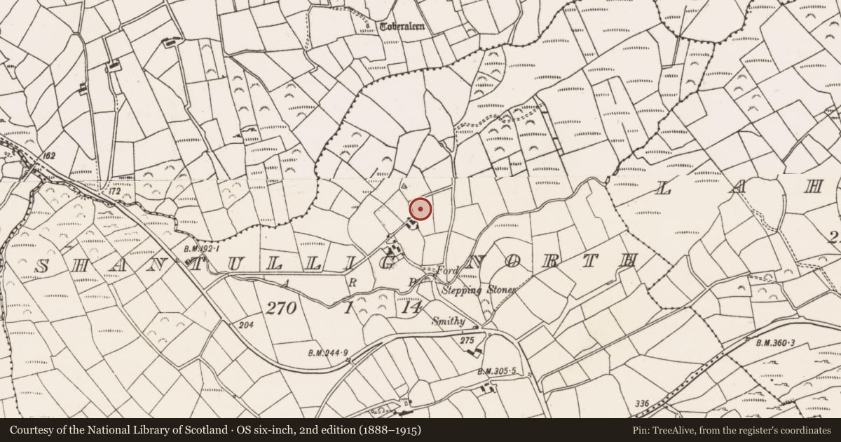 Ordnance Survey six-inch map, 2nd edition (1888–1915) covering the location of Souterrain, Shantullig North, County Cork, with a pin at the register's coordinates