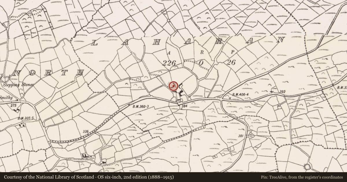 Ordnance Survey six-inch map, 2nd edition (1888–1915) covering the location of Souterrain, Laharan, County Cork, with a pin at the register's coordinates