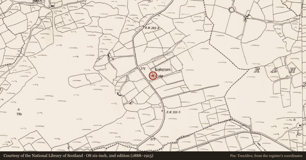 Ordnance Survey six-inch map, 2nd edition (1888–1915) covering the location of Ringfort - rath, Shantullig South, County Cork, with a pin at the register's coordinates