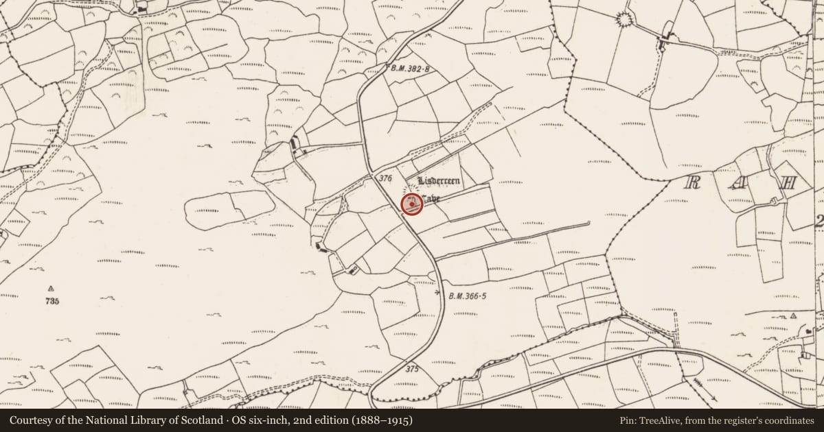 Ordnance Survey six-inch map, 2nd edition (1888–1915) covering the location of Souterrain, Shantullig South, County Cork, with a pin at the register's coordinates