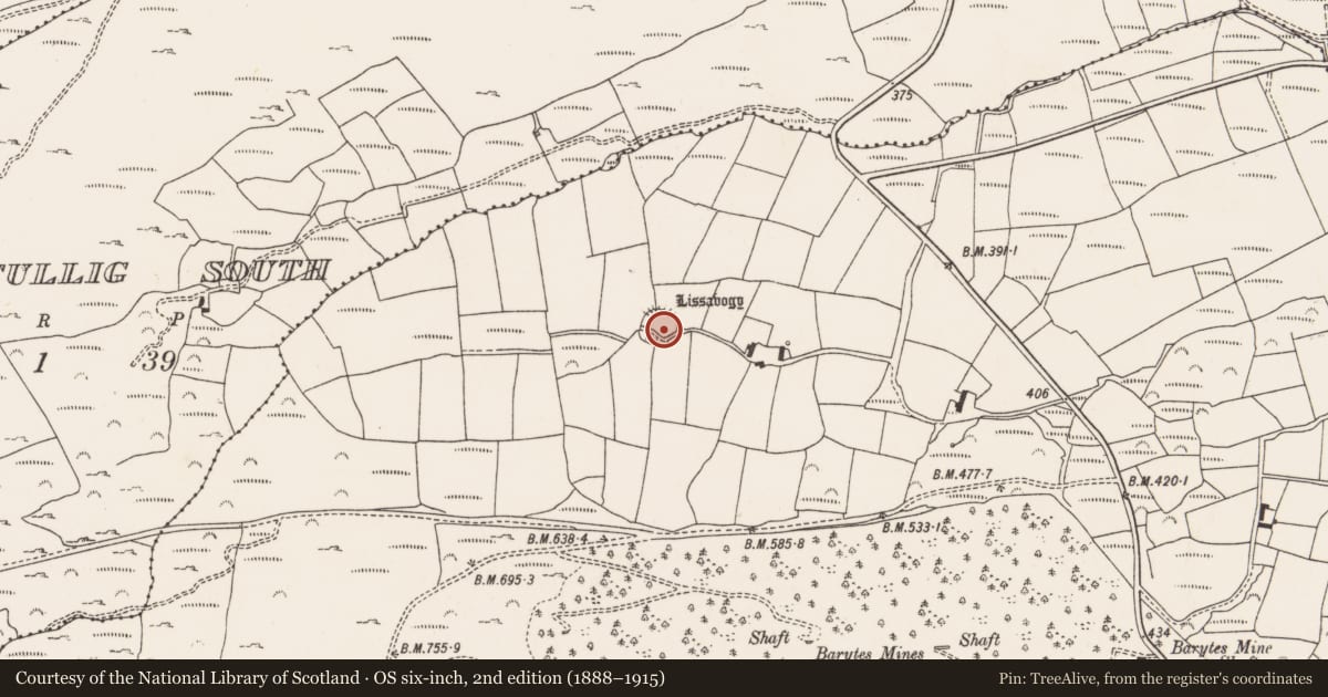 Ordnance Survey six-inch map, 2nd edition (1888–1915) covering the location of Ringfort - rath, Mountgabriel, County Cork, with a pin at the register's coordinates