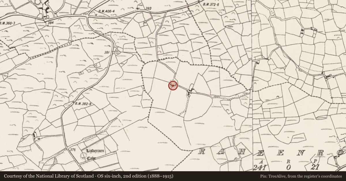 Ordnance Survey six-inch map, 2nd edition (1888–1915) covering the location of Ringfort - rath, Raheenroe, County Cork, with a pin at the register's coordinates