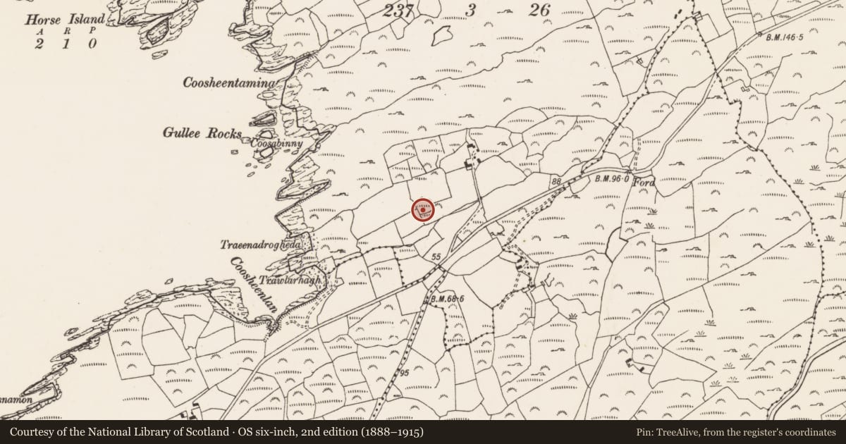 Ordnance Survey six-inch map, 2nd edition (1888–1915) covering the location of Enclosure, Ballyvonane, County Cork, with a pin at the register's coordinates