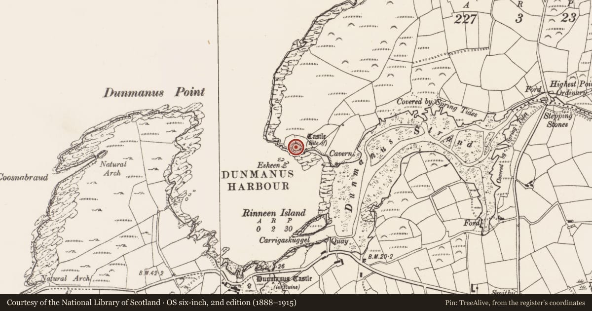 Ordnance Survey six-inch map, 2nd edition (1888–1915) covering the location of Cliff-edge fort, Knockeens (Carbery West (W.D) By., Skull Par.), County Cork, with a pin at the register's coordinates